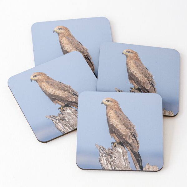 Item preview, Black Kite designed and sold by iansmissenphoto.