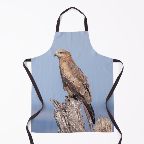 Item preview, Black Kite designed and sold by iansmissenphoto.