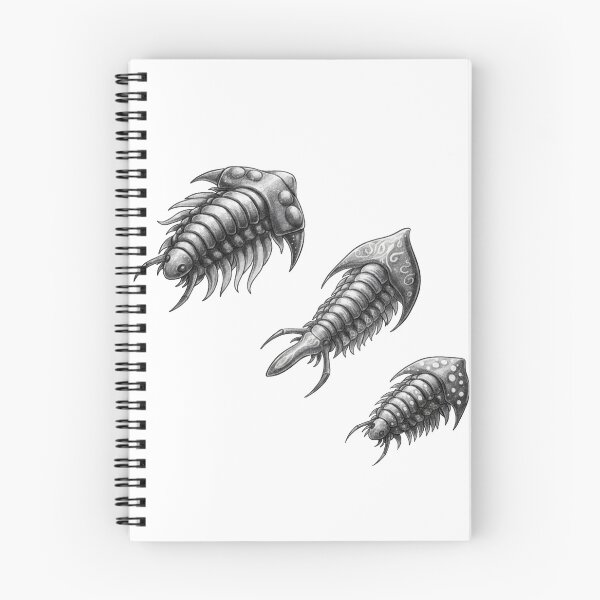 Item preview, Trilobites  designed and sold by fati-artiste1.