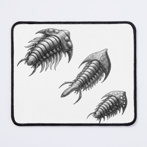 Item preview, Trilobites designed and sold by fati-artiste1.