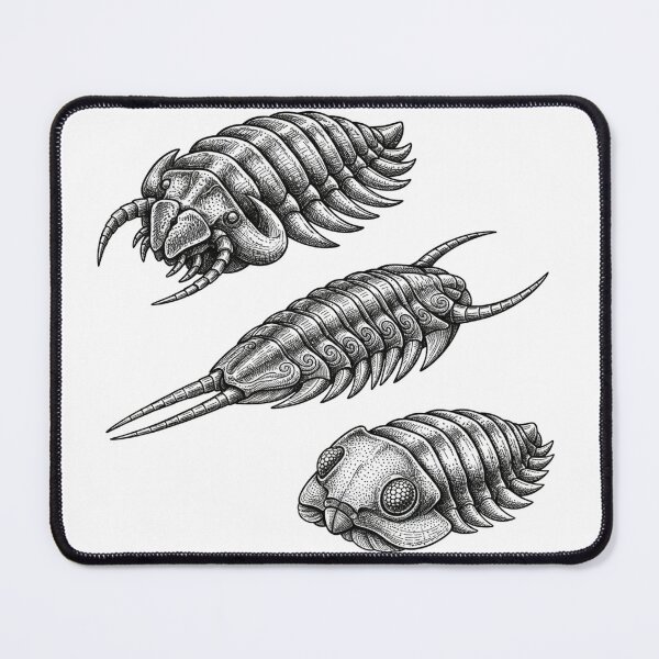 Item preview, Trilobites designed and sold by fati-artiste1.