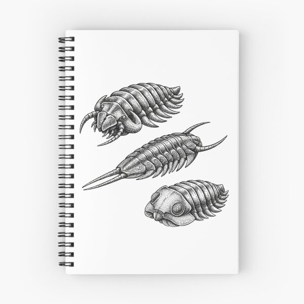 Item preview, Trilobites  designed and sold by fati-artiste1.