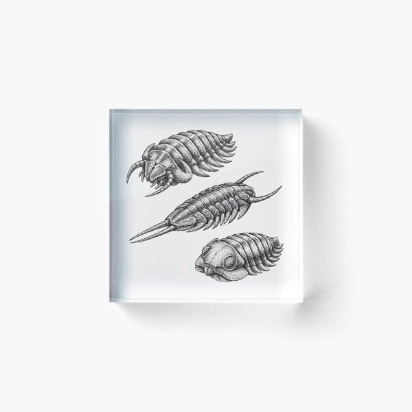 Item preview, Trilobites  designed and sold by fati-artiste1.