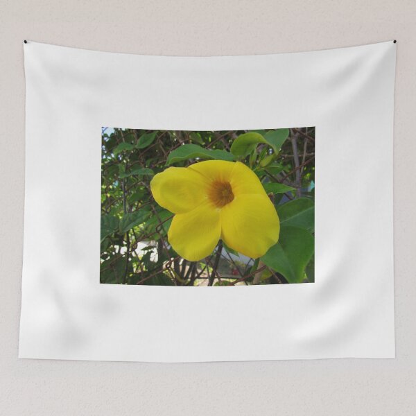 Item preview, Yellow Allamanda Flower in Cherokee Sound designed and sold by abacoian.