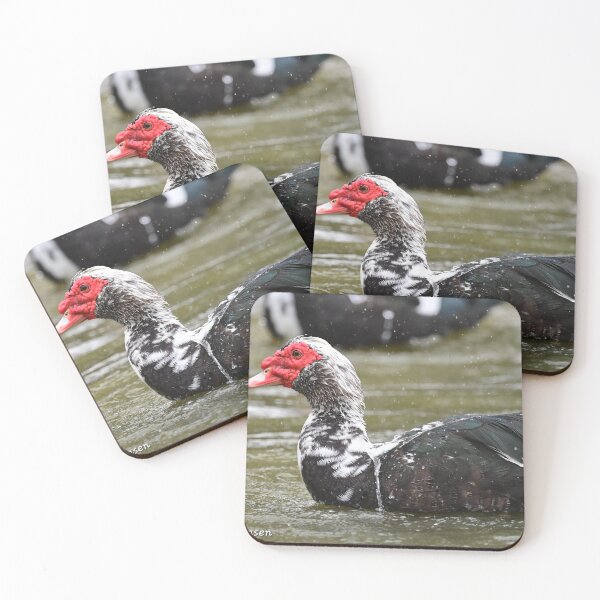 Item preview, Muscovy bathing  designed and sold by Glennphotos.