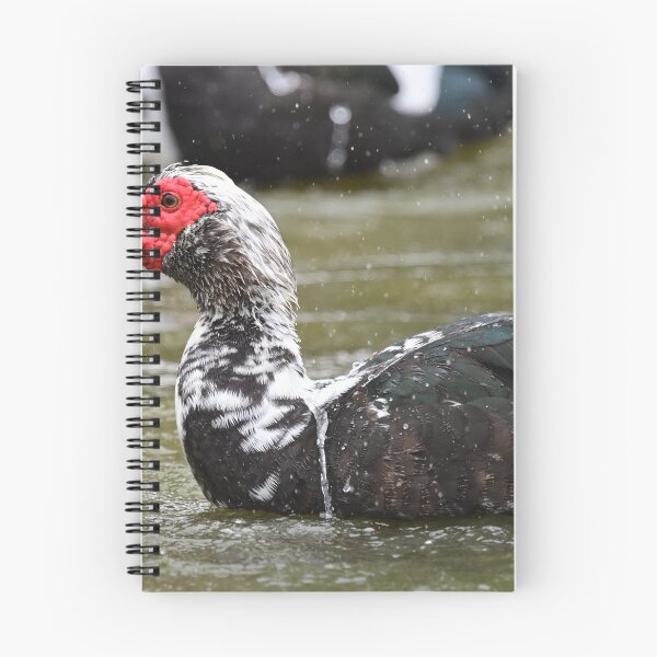 Item preview, Muscovy bathing  designed and sold by Glennphotos.