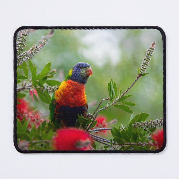 Item preview, Rainbow in the Flowers designed and sold by bella photoaus.