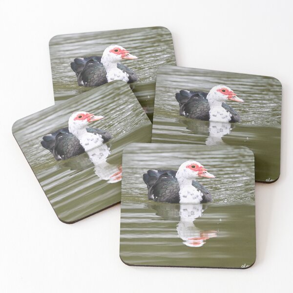 Item preview, Muscovy swimming  designed and sold by Glennphotos.