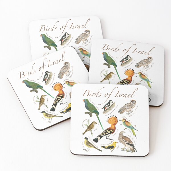 Item preview, Birds of Israel – Illustrated Guide (Light Edition) designed and sold by Balagan Apparel.