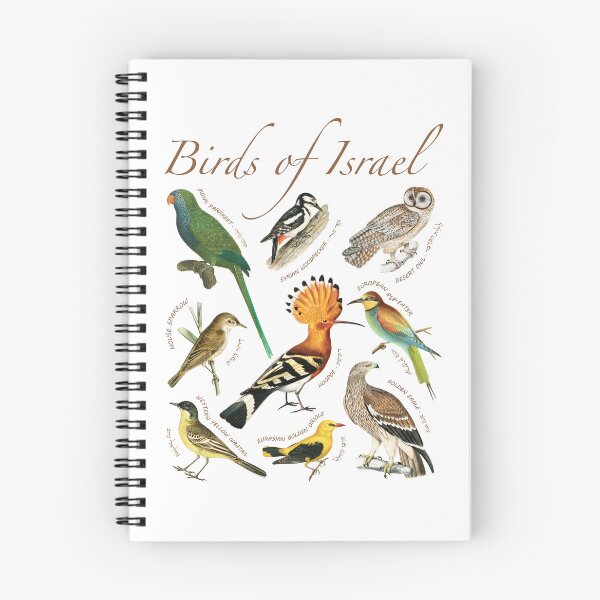 Item preview, Birds of Israel – Illustrated Guide (Light Edition) designed and sold by Balagan Apparel.