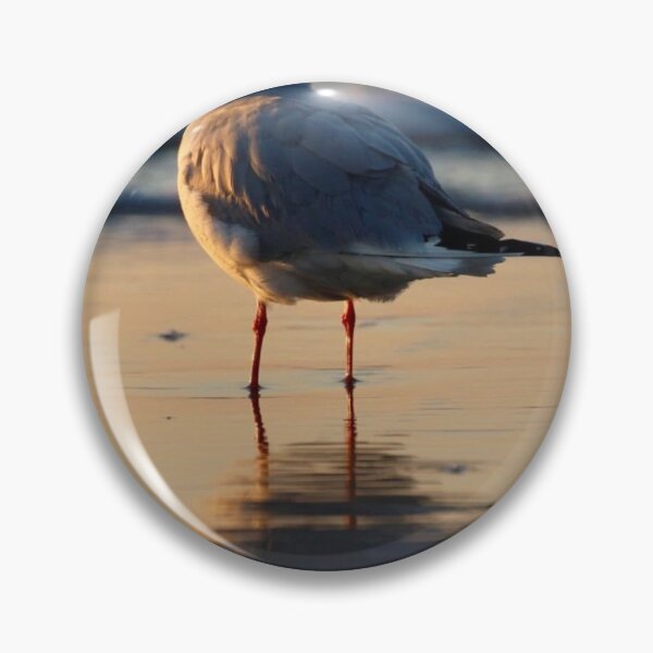 Item preview, Myrtle Beach Seagull Thinking designed and sold by MBGSL DESIGNS .
