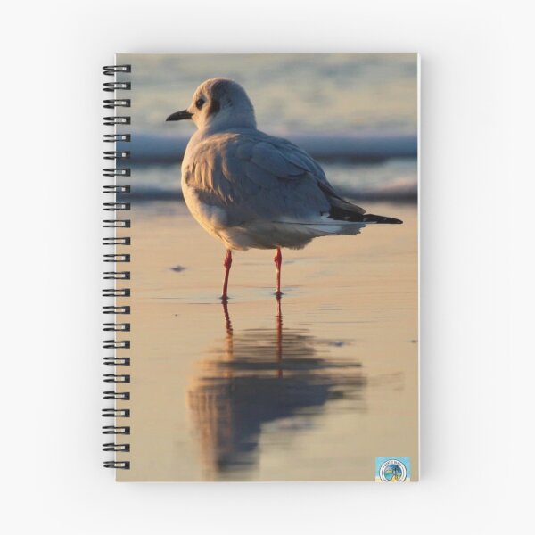 Item preview, Myrtle Beach Seagull Thinking designed and sold by MBGSL DESIGNS .