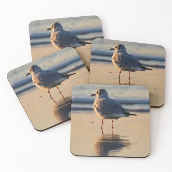 Item preview, Myrtle Beach Seagull Thinking designed and sold by MBGSL DESIGNS .