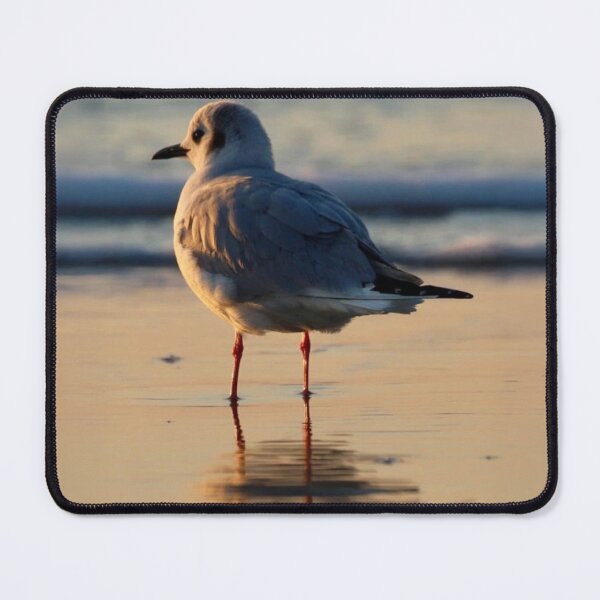 Item preview, Myrtle Beach Seagull Thinking designed and sold by MBGSL DESIGNS .