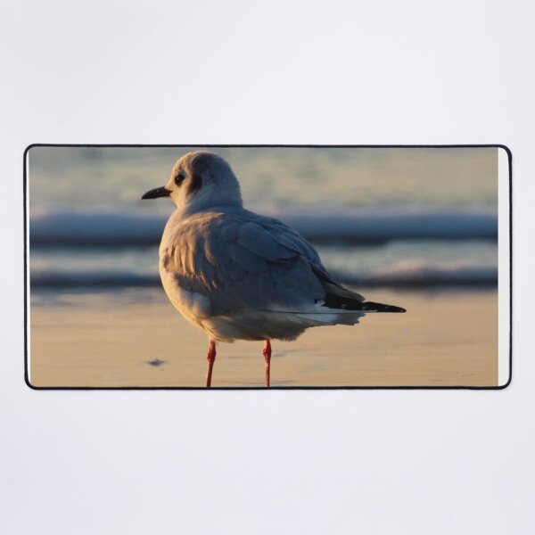 Item preview, Myrtle Beach Seagull Thinking designed and sold by MBGSL DESIGNS .