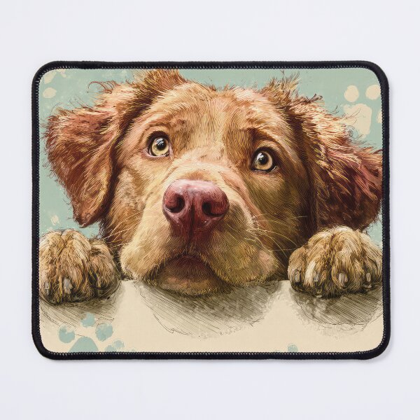 Item preview, Chesapeake Bay Retriever Peeking over Wall 01 designed and sold by Elisabeth Lucas.