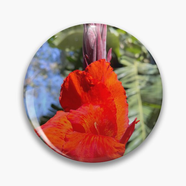 Item preview, Vibrant Red Canna Lily in Sunlight designed and sold by Be Captured by Brittany Emma.