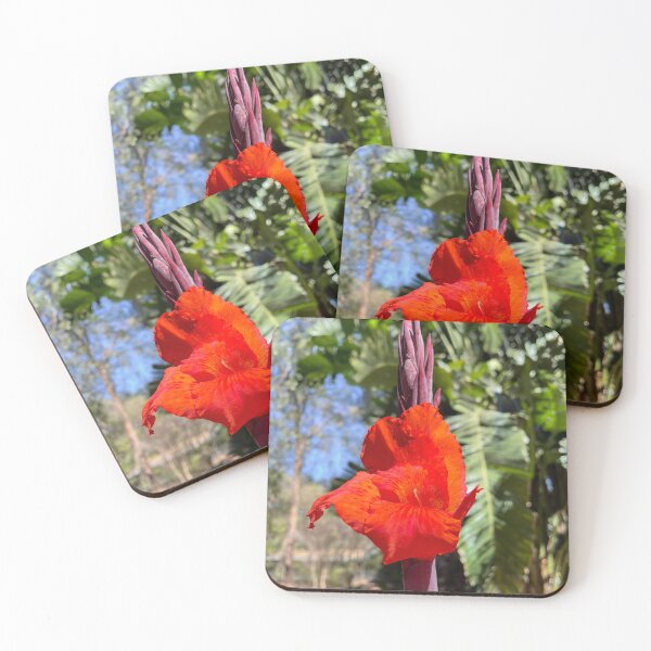 Item preview, Vibrant Red Canna Lily in Sunlight designed and sold by Be Captured by Brittany Emma.