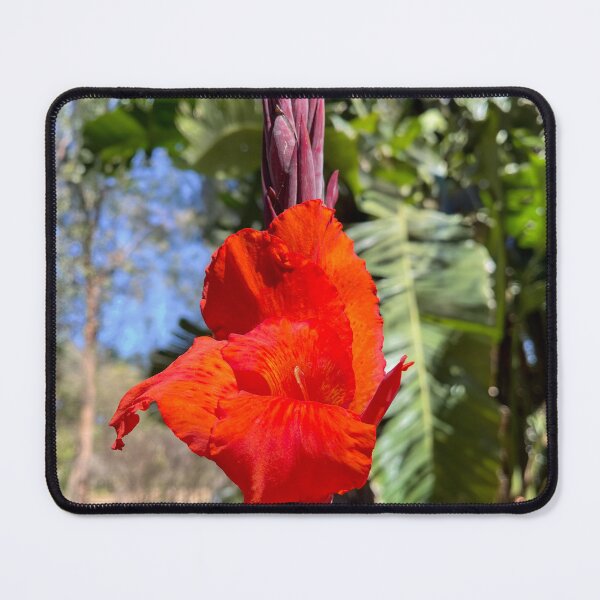 Item preview, Vibrant Red Canna Lily in Sunlight designed and sold by Be Captured by Brittany Emma.