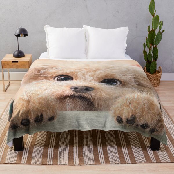 Item preview, Miniature Poodle Peeking over Wall 01 designed and sold by Elisabeth Lucas.