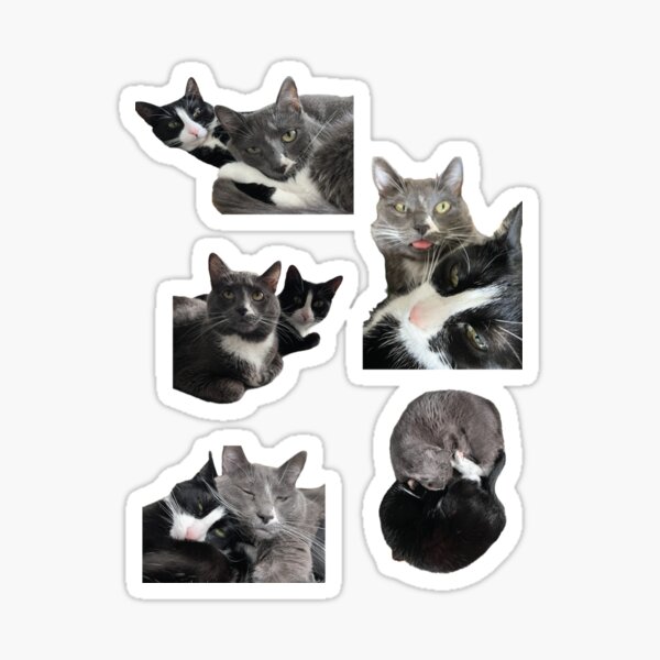 Item preview, Whiskey Ginger cats! designed and sold by MagmaFox.