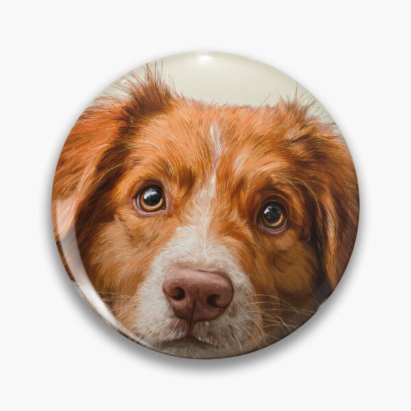 Item preview, Nova Scotia Retriever Peeking over Wall 01 designed and sold by Elisabeth Lucas.