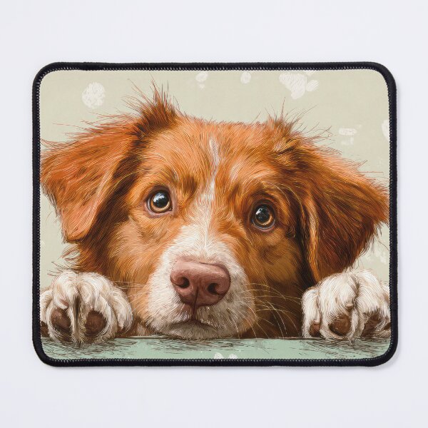 Item preview, Nova Scotia Retriever Peeking over Wall 01 designed and sold by Elisabeth Lucas.