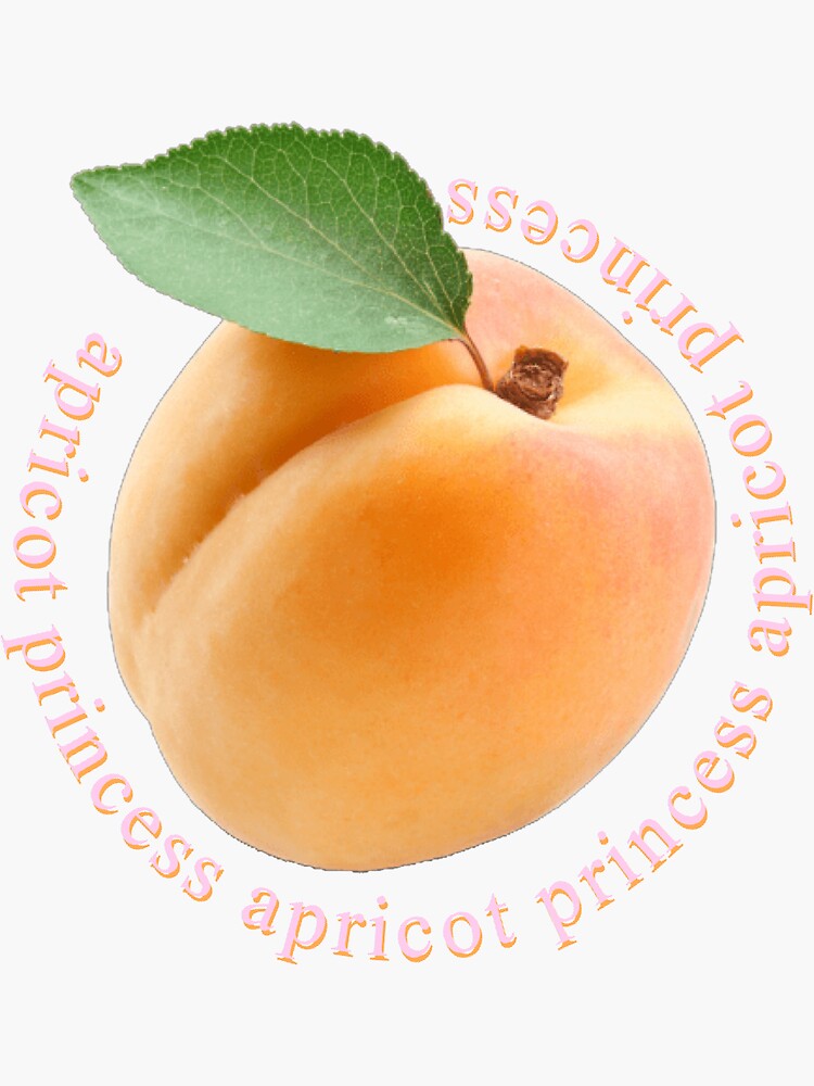 rex orange county apricot princess merch
