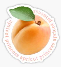Rex Orange County - Apricot Princess Sticker
