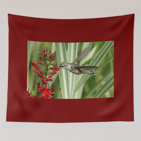 Item preview, Hummingbird and Lobelia designed and sold by Debbie Oppermann.