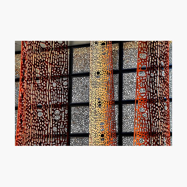 Iron foam II Photographic Print