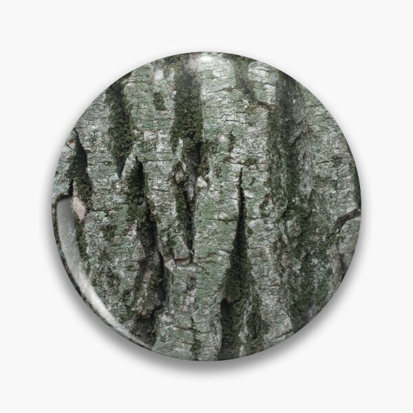 Item preview, Grooves and Mosses - Sculptural Tree Bark of a 100 Years Old Poplar designed and sold by Georgia Mizuleva.