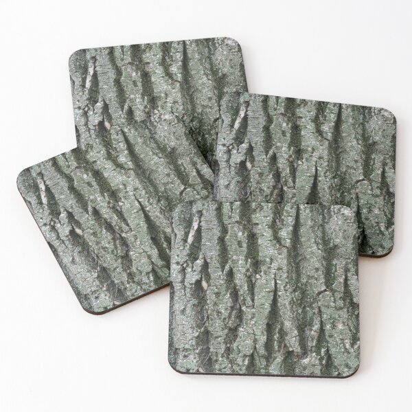 Item preview, Grooves and Mosses - Sculptural Tree Bark of a 100 Years Old Poplar designed and sold by Georgia Mizuleva.