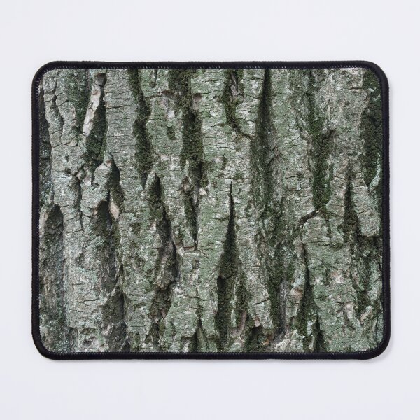 Item preview, Grooves and Mosses - Sculptural Tree Bark of a 100 Years Old Poplar designed and sold by Georgia Mizuleva.