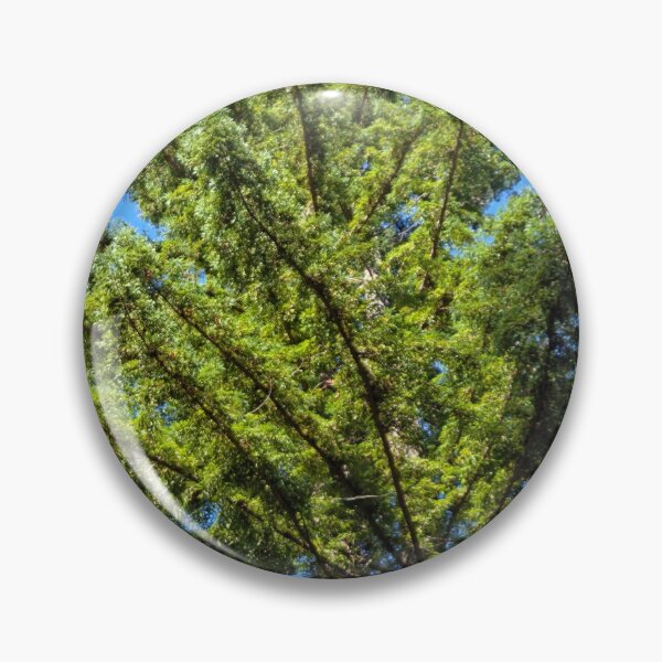Item preview, Skyward designed and sold by Betsy Phillips.