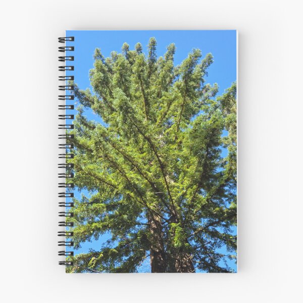 Item preview, Skyward designed and sold by Betsy Phillips.
