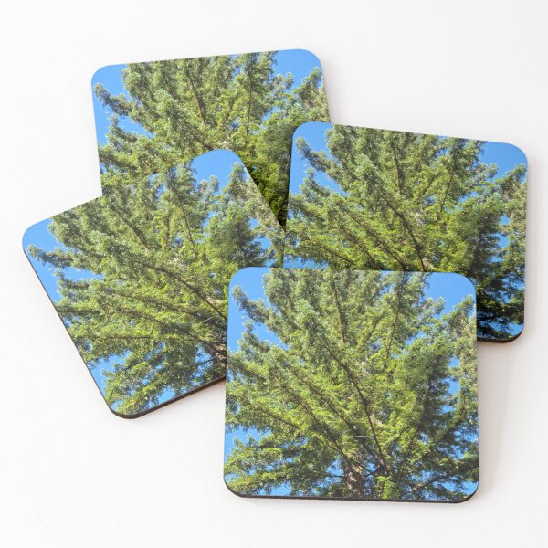 Item preview, Skyward designed and sold by Betsy Phillips.