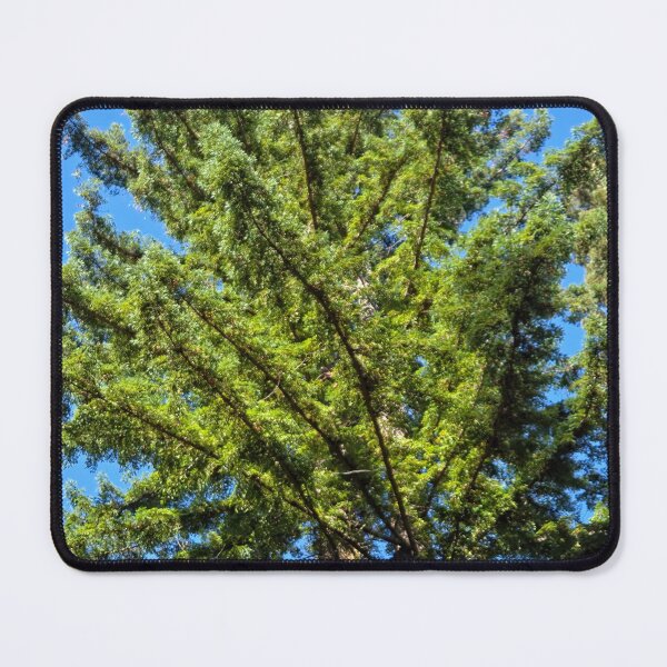 Item preview, Skyward designed and sold by Betsy Phillips.