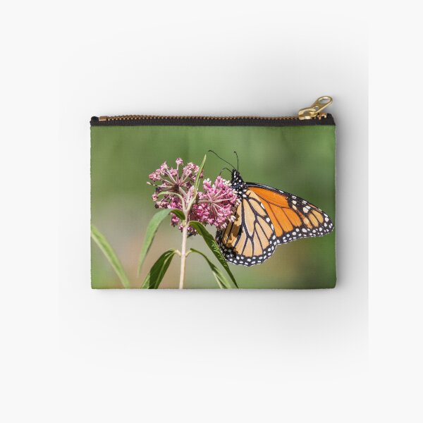 Item preview, Monarch 2018-1 designed and sold by Thomasyoung.
