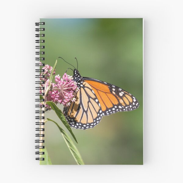 Item preview, Monarch 2018-1 designed and sold by Thomasyoung.