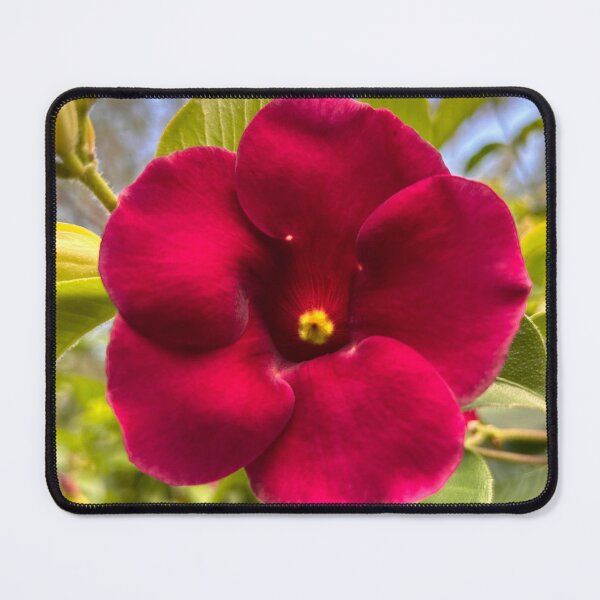 Item preview, Alamanda Red Flower designed and sold by CreativeJuicesCanada.