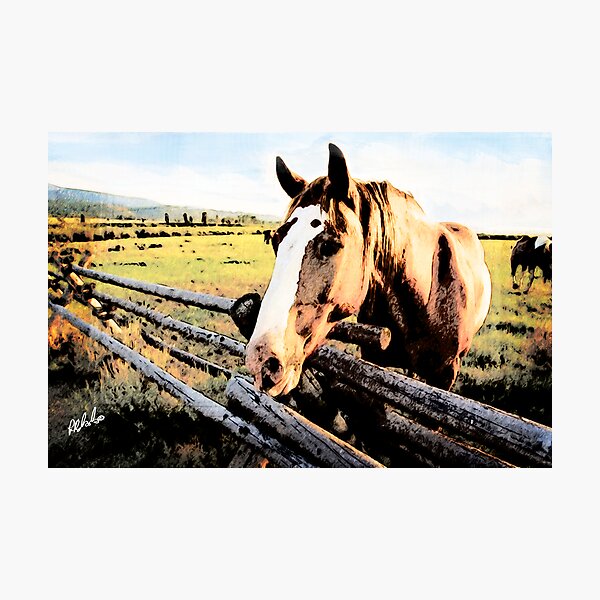 Beautiful Day Photographic Print