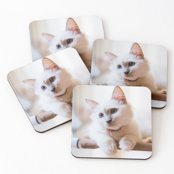 Item preview, Persia the Kitten designed and sold by Lidia D'Opera Photographer.