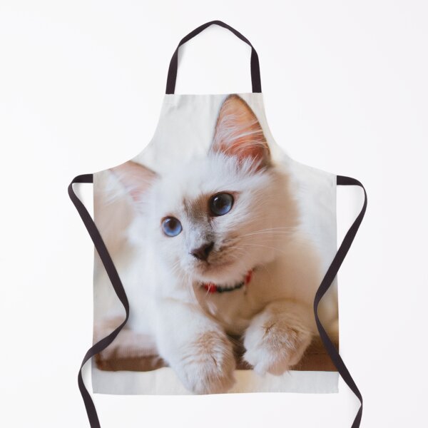 Item preview, Persia the Kitten designed and sold by Lidia D'Opera Photographer.