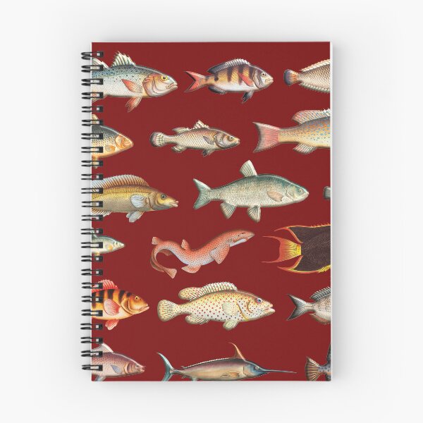 Item preview, Vintage Fish Decal Pack designed and sold by JuicyUS.