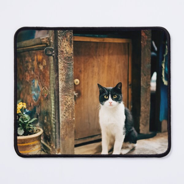 Aperçu de l'œuvre Chat de smoking créée et vendue par Lidia D'Opera Photographer.