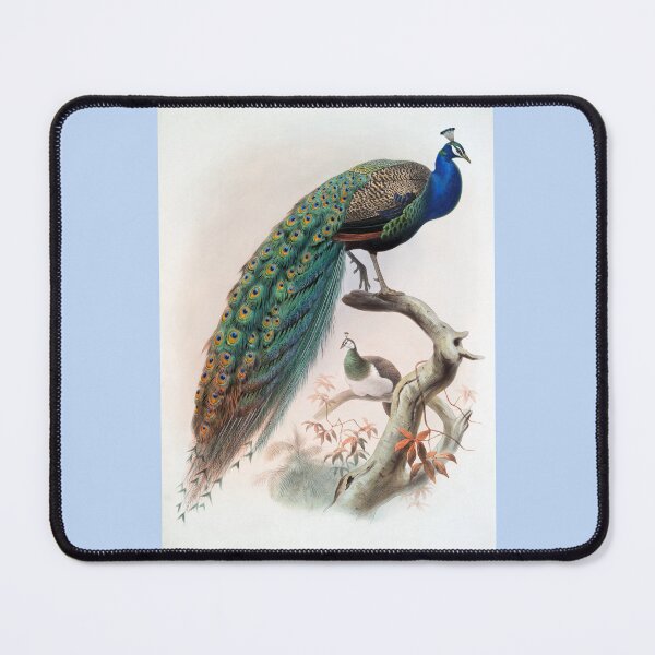 Item preview, Vintage Peacock Print by Joseph Smit designed and sold by Tridentulus.