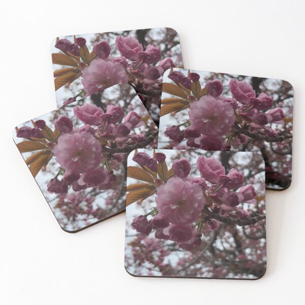 Item preview, Cherry Esplanade during spring in Brooklyn designed and sold by NYConlineStore.