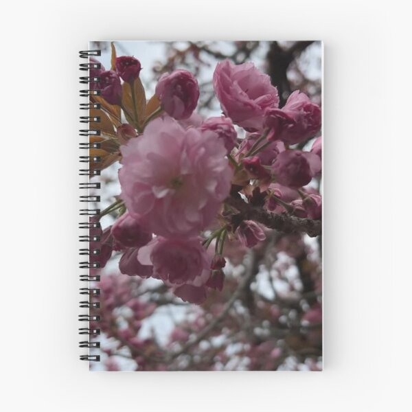 Item preview, Cherry Esplanade during spring in Brooklyn designed and sold by NYConlineStore.