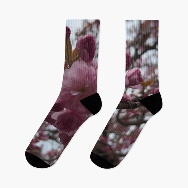 Item preview, Cherry Esplanade during spring in Brooklyn designed and sold by NYConlineStore.